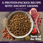 Taste of the Wild Ancient Mountain Canine Recipe with Roasted Lamb Dry Dog Food, photo 3