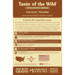 Taste of the Wild Ancient Prairie Canine Recipe with Roasted Bison & Roasted Venison Dry Dog Food, photo 2