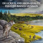 Taste of the Wild Pine Forest Canine Recipe with Venison & Legumes Dry Dog Food, photo 4