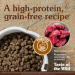 Taste of the Wild Pine Forest Canine Recipe with Venison & Legumes Dry Dog Food, photo 3