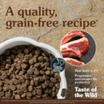 Taste of the Wild Sierra Mountain Canine Recipe with Roasted Lamb Dry Dog Food, photo 3