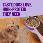 Wellness CORE Grain Free Wild Game Duck, Turkey, Boar, Rabbit Dry Dog Food, photo 3