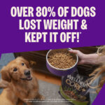 Wellness Core Reduced Fat Dry Dog Food, photo 2