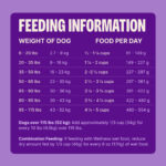 Wellness Core Wholesome Grains Original Dry Dog Food, photo 3