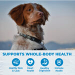 Wellness Core Simple Limited Ingredient Grain-Free Small Breed Dry Dog Food, photo 3