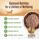 Wellness Ninety-Five Percent Lamb Dog Food Mixer or Topper, photo 3