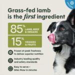 Instinct Raw Bites Grass-Fed Lamb Recipe Frozen Dog Food, photo 5